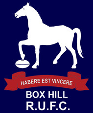 Box Hill RUFC